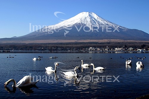 Nature / landscape royalty free stock image #942464033