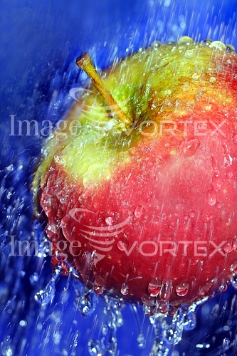 Food / drink royalty free stock image #943279982