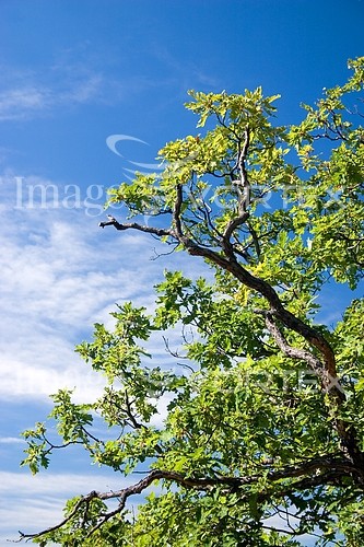 Nature / landscape royalty free stock image #946614788