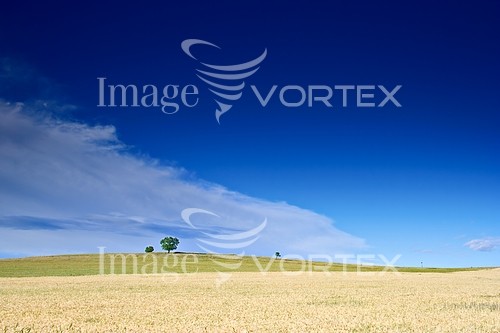 Industry / agriculture royalty free stock image #949965789