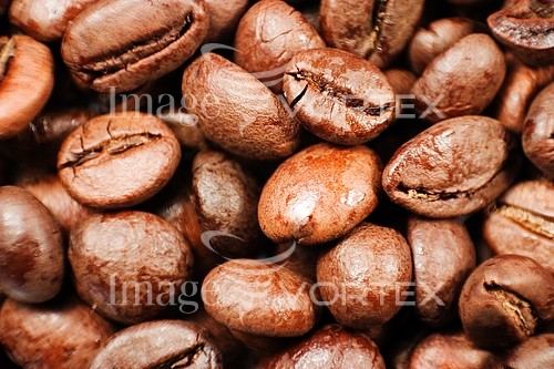 Food / drink royalty free stock image #960533985