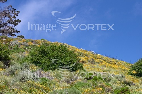 Nature / landscape royalty free stock image #965427964