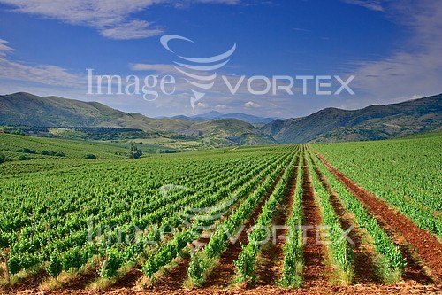 Industry / agriculture royalty free stock image #972114119