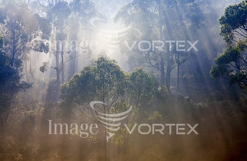 Nature / landscape royalty free stock image #985500277
