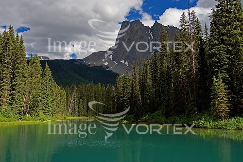 Nature / landscape royalty free stock image #995680341