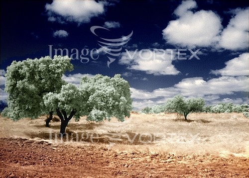 Nature / landscape royalty free stock image #999927286