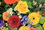 Flowers 368738904
